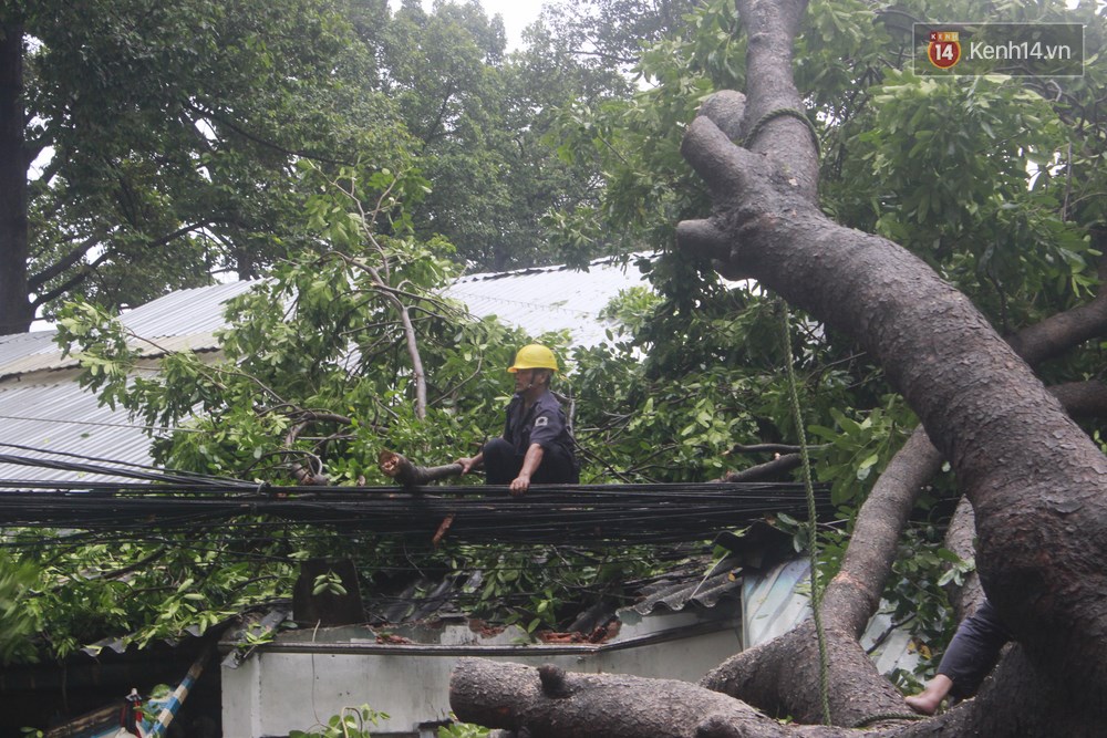 Mưa lớn khiến cổ thụ ở Sài Gòn bật gốc đè 3 căn nhà, cúp điện toàn khu vực - Ảnh 6. Mưa lớn khiến cổ thụ ở Sài Gòn bật gốc đè 3 căn nhà, cúp điện toàn khu vực - Ảnh 6.