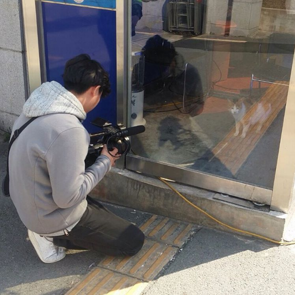 Câu chuyện lay động trái tim phía sau biệt đội mèo cảnh sát tại Busan, Hàn Quốc - Ảnh 6.