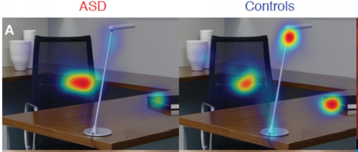 Bạn biết không, cách người tự kỷ nhìn thế giới cực kỳ khác - Ảnh 2. Bạn biết không, cách người tự kỷ nhìn thế giới cực kỳ khác - Ảnh 2.