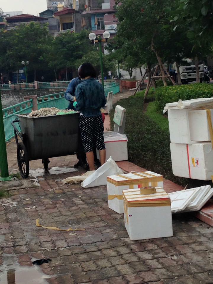 Xuất hiện đôi nam nữ đóng thùng xốp cá chết ở hồ Tây - Ảnh 2. Xuất hiện đôi nam nữ đóng thùng xốp cá chết ở hồ Tây - Ảnh 2.