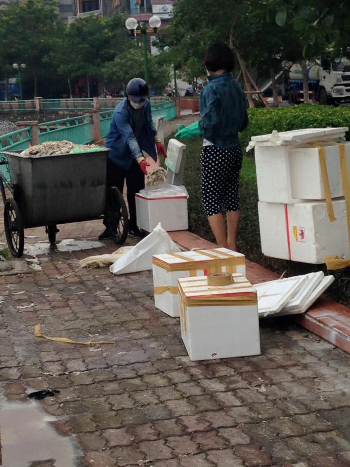 Xuất hiện đôi nam nữ đóng thùng xốp cá chết ở hồ Tây - Ảnh 3. Xuất hiện đôi nam nữ đóng thùng xốp cá chết ở hồ Tây - Ảnh 3.