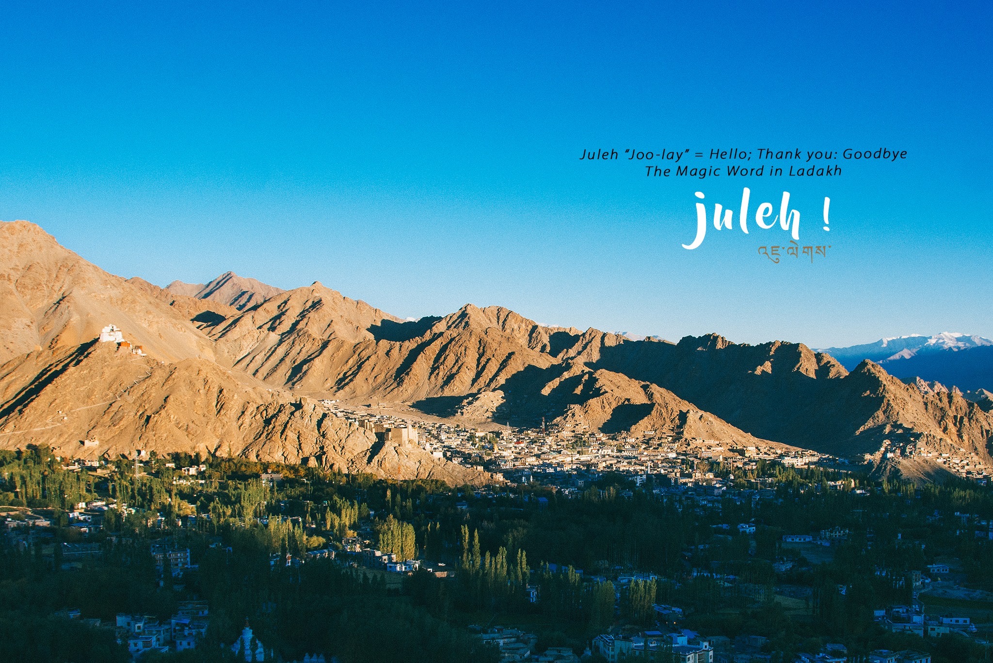 Ladakh - Tiểu Tây Tạng của Ấn Độ: Đừng đến nếu bạn thích an nhàn! - Ảnh 4. Ladakh - Tiểu Tây Tạng của Ấn Độ: Đừng đến nếu bạn thích an nhàn! - Ảnh 4.