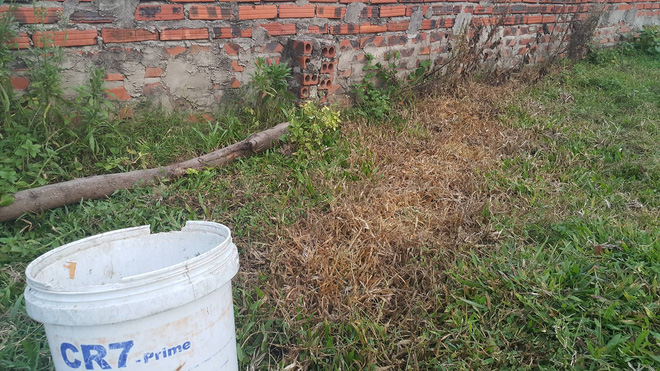 Giận vợ, pha thuốc diệt cỏ vào nước đường cho con gái uống - Ảnh 2. Giận vợ, pha thuốc diệt cỏ vào nước đường cho con gái uống - Ảnh 2.