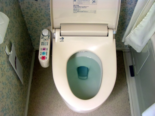 Vứt giấy vào toilet hay sọt rác và đây là cách xử lý ở các quốc gia khác nhau - Ảnh 3.