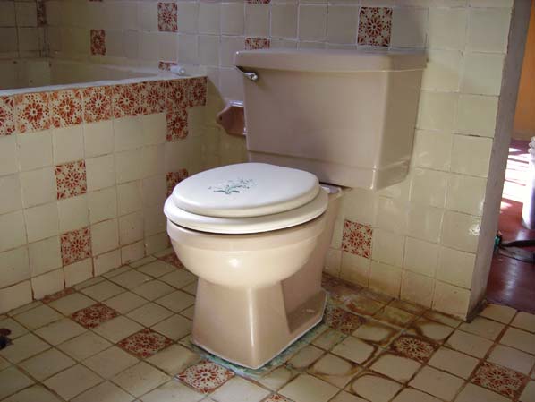 Vứt giấy vào toilet hay sọt rác và đây là cách xử lý ở các quốc gia khác nhau - Ảnh 4.