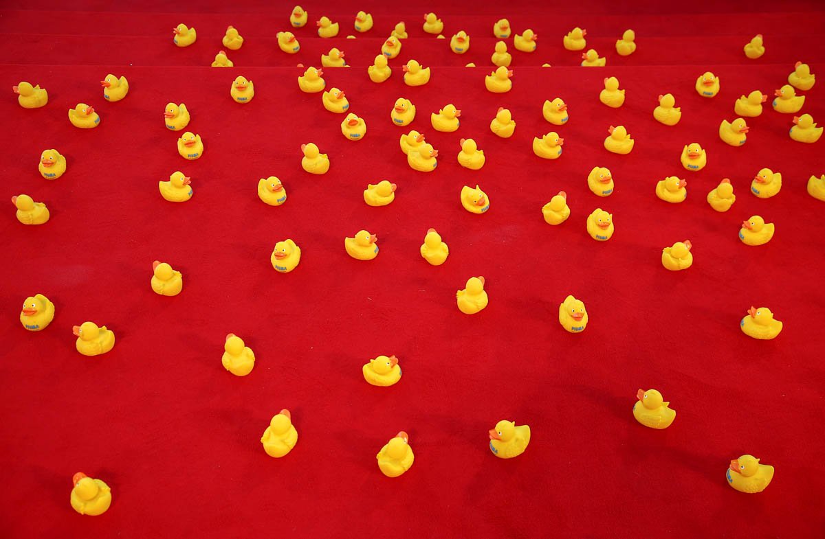 Nếu bạn nghĩ năm 2016 của mình chưa đủ kỳ quặc, hãy chiêm ngưỡng 31 bức ảnh dị nhất năm qua - Ảnh 10. Nếu bạn nghĩ năm 2016 của mình chưa đủ kỳ quặc, hãy chiêm ngưỡng 31 bức ảnh dị nhất năm qua - Ảnh 10.