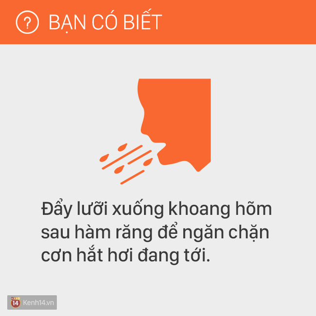 Hãy nhớ kỹ 11 mẹo hay này trong cuộc sống, bạn sẽ chẳng bao giờ cảm thấy phiền hà khó chịu với cơ thể nữa!