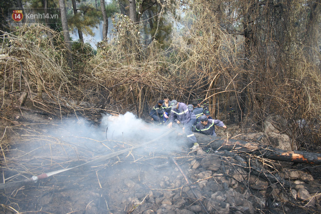 Clip: Cháy rừng dữ dội khu vực đèo Hải Vân, khói bốc cao hàng chục mét - Ảnh 2.