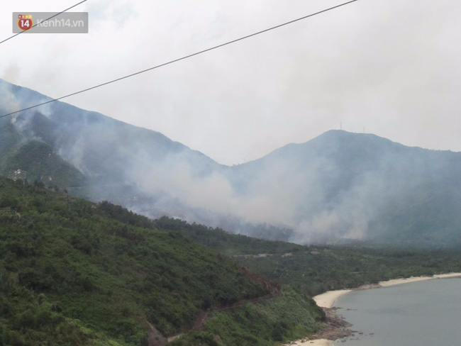 Clip: Cháy rừng dữ dội khu vực đèo Hải Vân, khói bốc cao hàng chục mét - Ảnh 3.