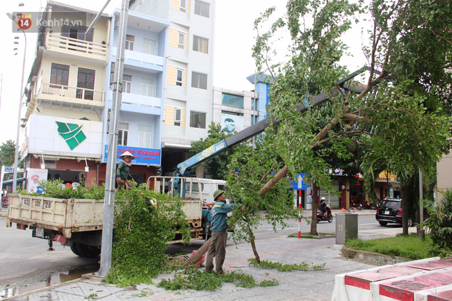 Ảnh hưởng của bão số 4: 1 người mất tích, hàng loạt cây xanh đổ ngã, đường sá sạt lở nghiêm trọng - ảnh 12