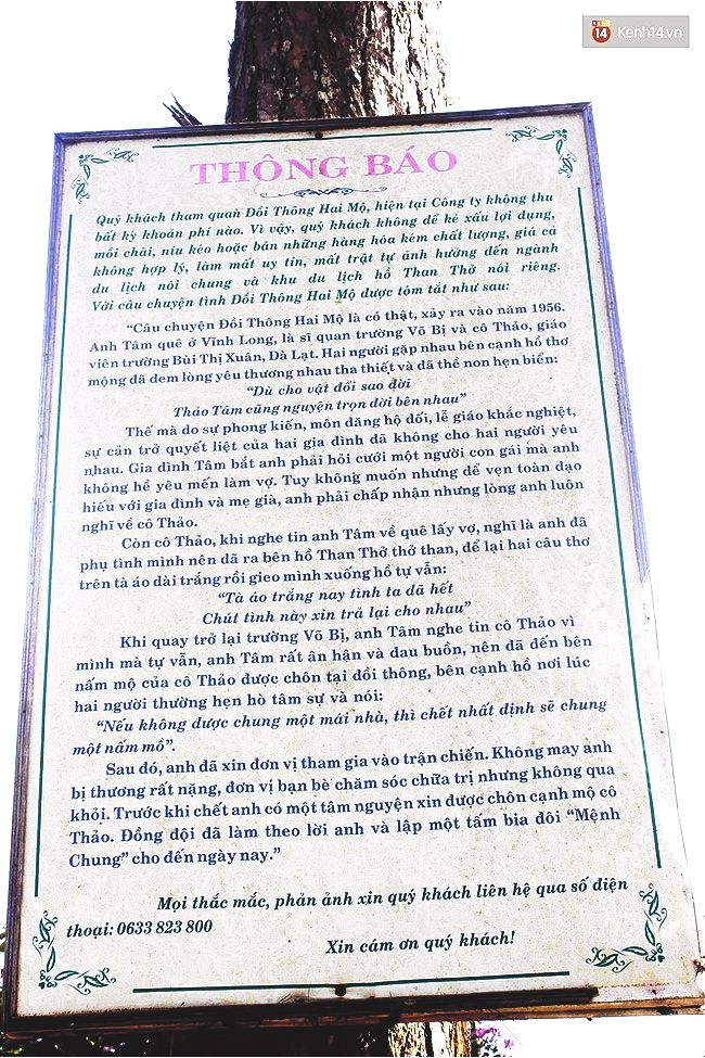 Phía sau đồi thông hai mộ ở Đà Lạt là một thiên tình sử đầy bi thương mà ít người biết đến - Ảnh 4.