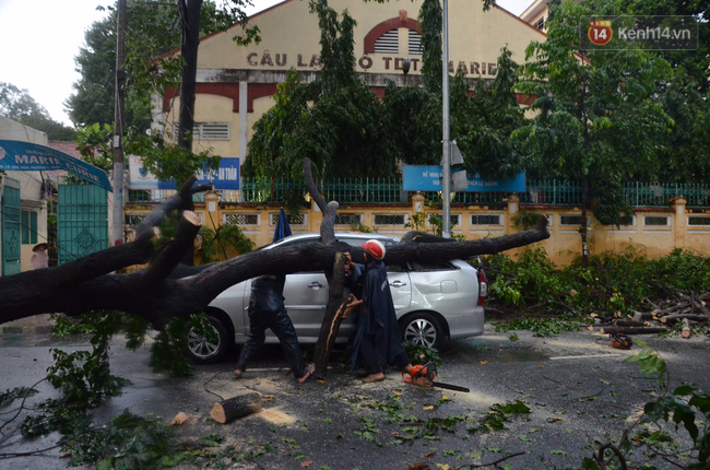 Sài Gòn lại ngập sau trận mưa thứ 3 liên tiếp, cây xanh gãy đổ khắp nơi - Ảnh 5.