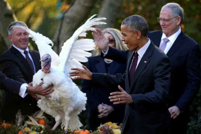 Tổng thống Obama xá tội cho gà tây lần cuối cùng tại Nhà Trắng - Ảnh 2. Tổng thống Obama xá tội cho gà tây lần cuối cùng tại Nhà Trắng - Ảnh 2.