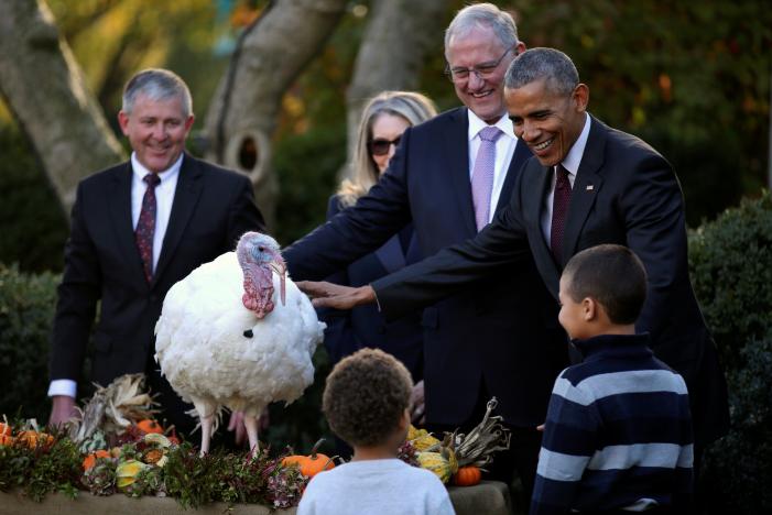 Tổng thống Obama xá tội cho gà tây lần cuối cùng tại Nhà Trắng - Ảnh 1. Tổng thống Obama xá tội cho gà tây lần cuối cùng tại Nhà Trắng - Ảnh 1.
