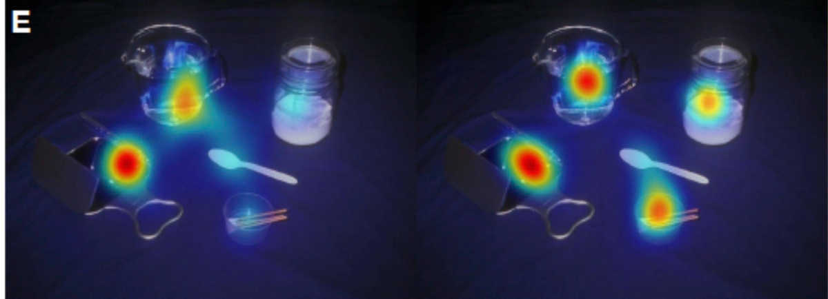 Bạn biết không, cách người tự kỷ nhìn thế giới cực kỳ khác - Ảnh 4. Bạn biết không, cách người tự kỷ nhìn thế giới cực kỳ khác - Ảnh 4.