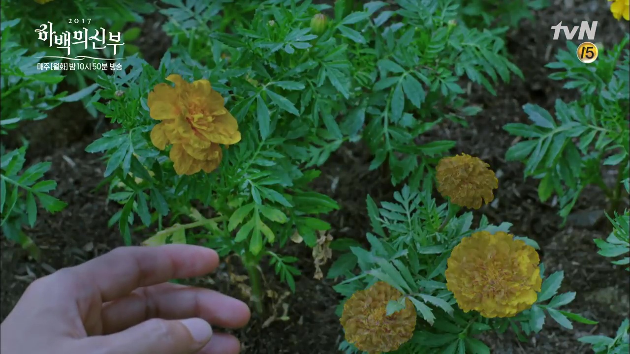 Sống bẩn, làm việc kém, nấu dở, Shin Se Kyung vẫn được 2 soái ca giành giật! - Ảnh 16. Sống bẩn, làm việc kém, nấu dở, Shin Se Kyung vẫn được 2 soái ca giành giật! - Ảnh 16.