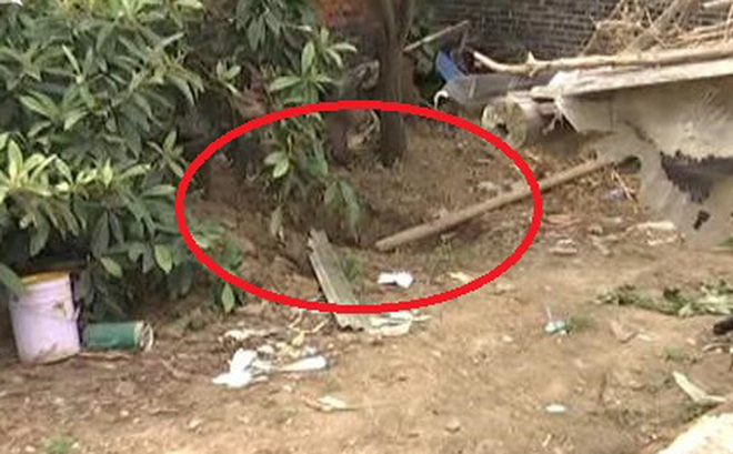 Gã đàn ông giết vợ, chôn xác trong vườn nhà suốt 5 năm mới bị phát hiện - Ảnh 1.