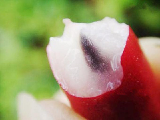 Chua cay mặn đắng đều trở thành ngọt ngào nếu ăn được quả thần mà Việt Nam đang có - Ảnh 3.