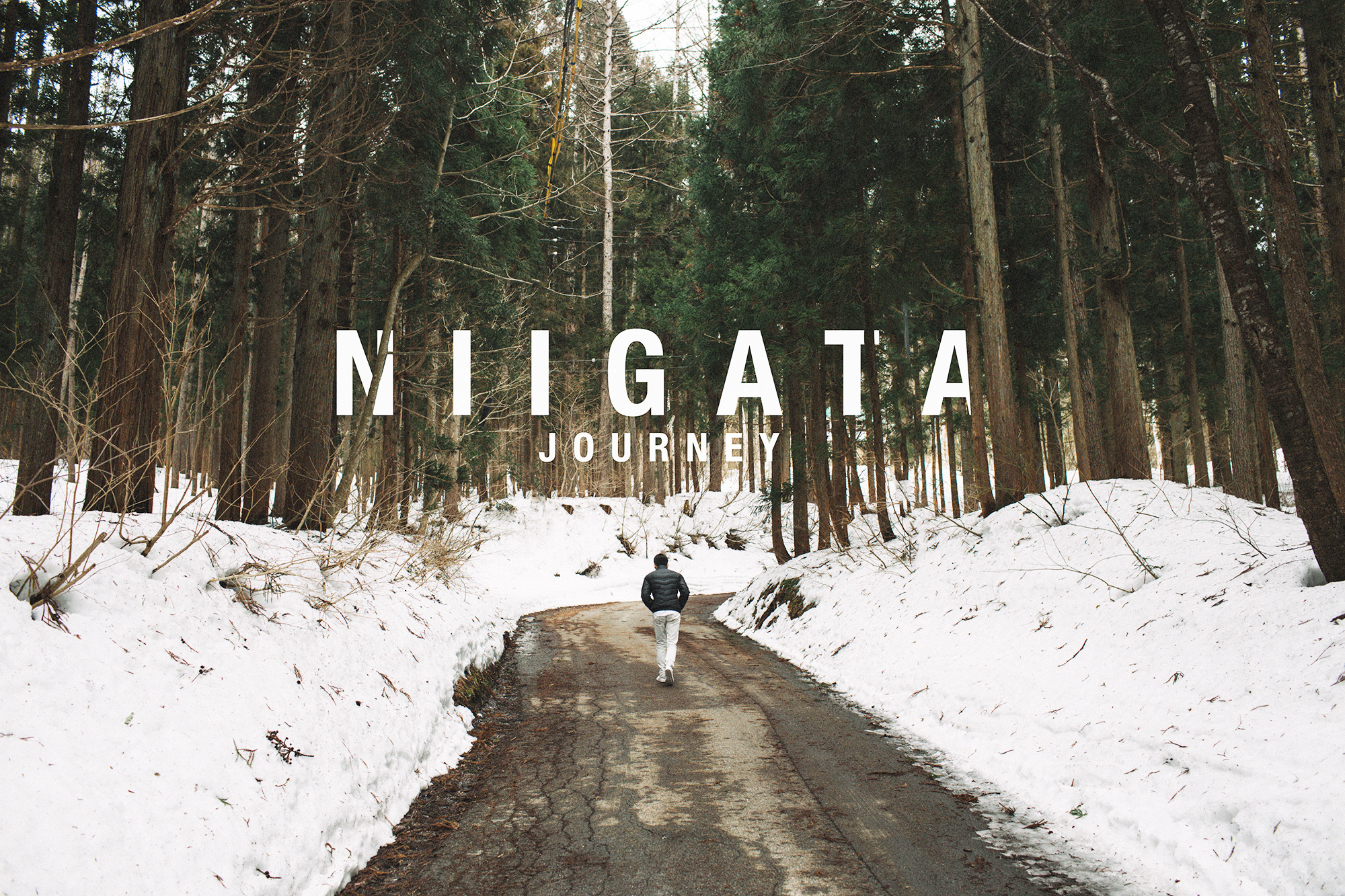 Here We Go 2017: Công bố Top 50 thí sinh xuất sắc nhất bước tiếp vào Vòng 2! - Ảnh 19. Here We Go 2017: Công bố Top 50 thí sinh xuất sắc nhất bước tiếp vào Vòng 2! - Ảnh 19.