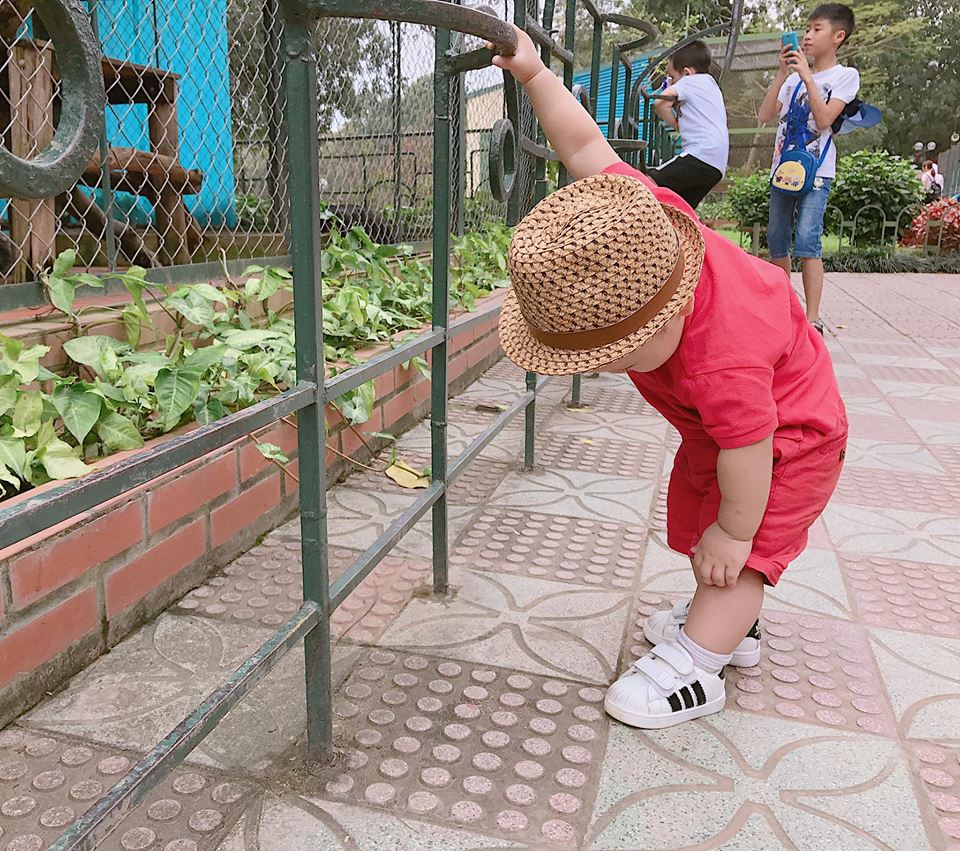 Ly Kute hạnh phúc tổ chức sinh nhật cho con trai tròn 1 tuổi - Ảnh 5. Ly Kute hạnh phúc tổ chức sinh nhật cho con trai tròn 1 tuổi - Ảnh 5.