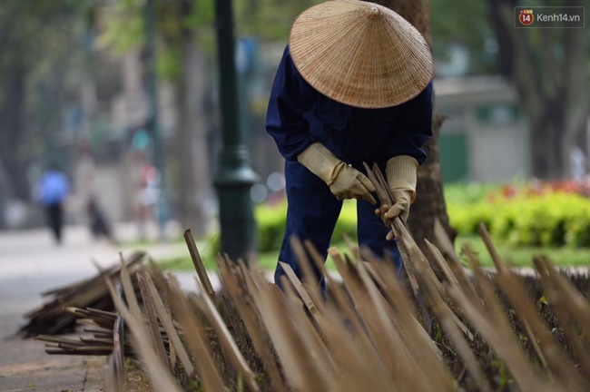 Hà Nội cắm cọc tre nhọn hoắt bảo vệ vườn hoa ở Nhà hát lớn khiến nhiều người lo lắng - Ảnh 7.