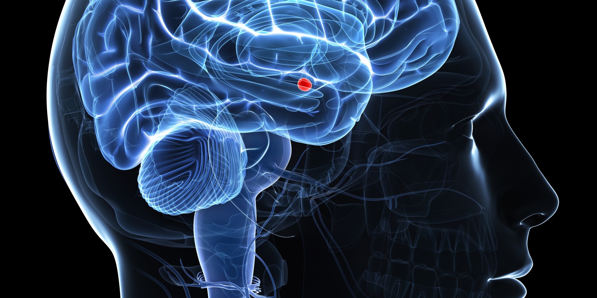 Có những người luôn luôn tìm cách nói dối, tại sao vậy? - Ảnh 2. Có những người luôn luôn tìm cách nói dối, tại sao vậy? - Ảnh 2.