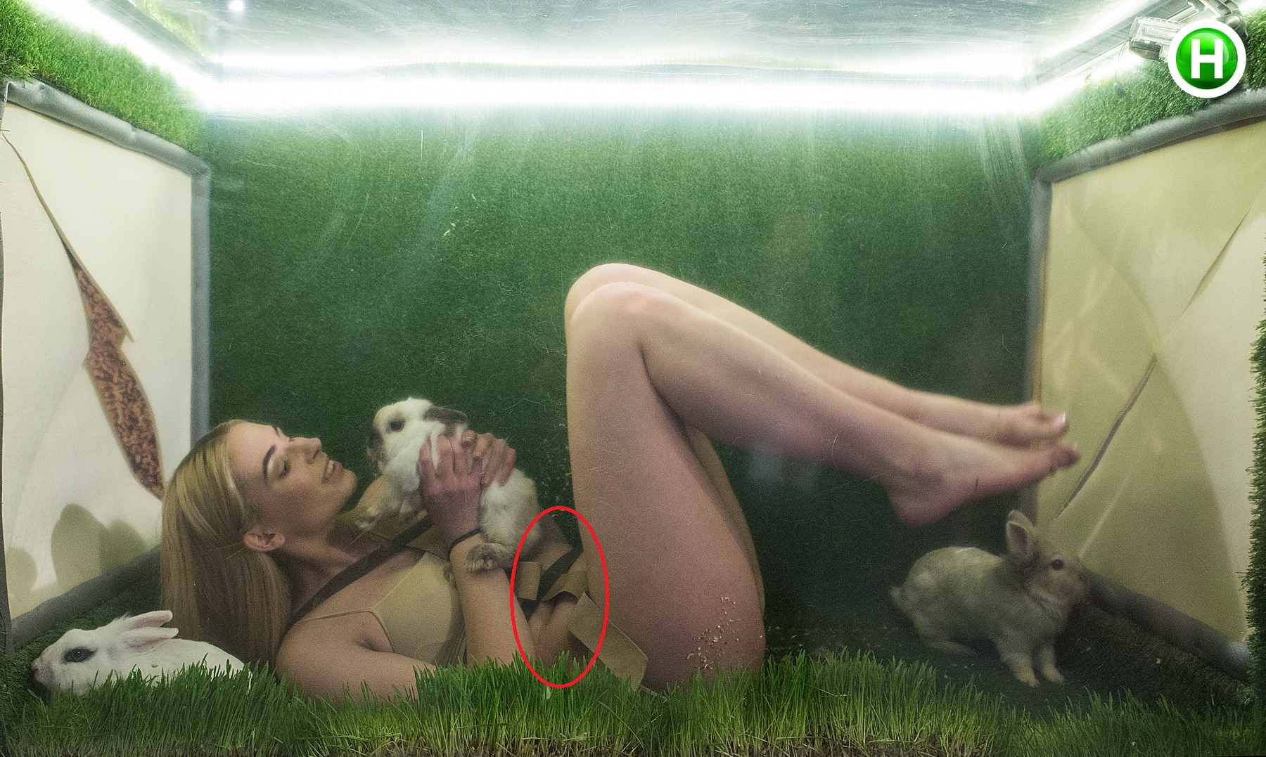 Có ai như Next Top, chụp ảnh sexy mà đập vào mắt toàn là bụng mỡ thế này không? - Ảnh 1. Có ai như Next Top, chụp ảnh sexy mà đập vào mắt toàn là bụng mỡ thế này không? - Ảnh 1.