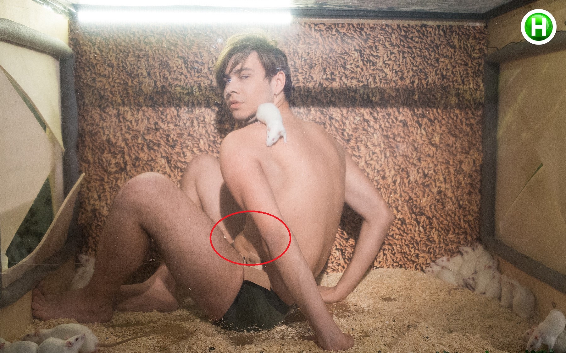 Có ai như Next Top, chụp ảnh sexy mà đập vào mắt toàn là bụng mỡ thế này không? - Ảnh 2. Có ai như Next Top, chụp ảnh sexy mà đập vào mắt toàn là bụng mỡ thế này không? - Ảnh 2.