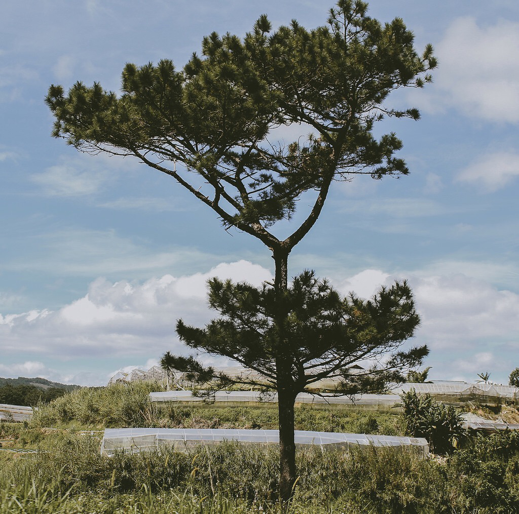 Here We Go 2017: Công bố Top 50 thí sinh xuất sắc nhất bước tiếp vào Vòng 2! - Ảnh 29. Here We Go 2017: Công bố Top 50 thí sinh xuất sắc nhất bước tiếp vào Vòng 2! - Ảnh 29.