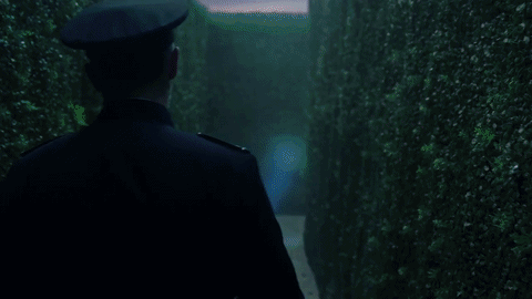 Phạm Hương khiến fan “ngẩn ngơ” khi khoe sắc giữa vườn hồng Pháp - Ảnh 4. Phạm Hương khiến fan “ngẩn ngơ” khi khoe sắc giữa vườn hồng Pháp - Ảnh 4.