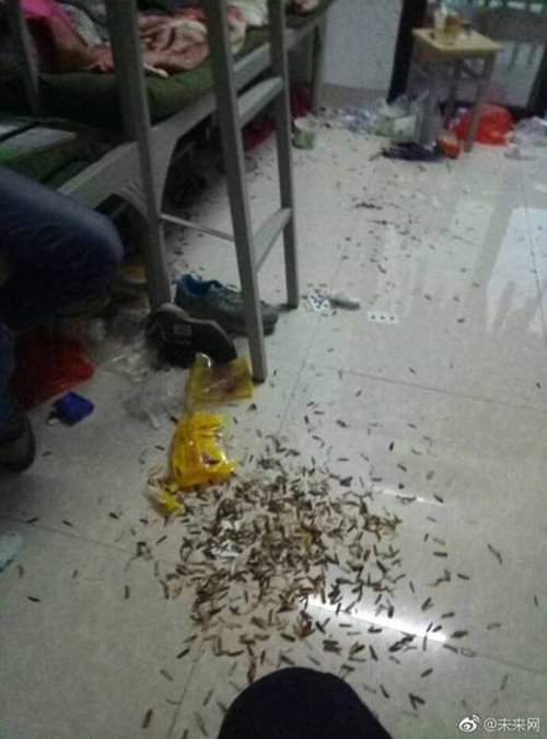 Những căn phòng ký túc bẩn còn hơn cả bãi rác của sinh viên Trung Quốc khiến nhiều người hoảng hồn - Ảnh 11.
