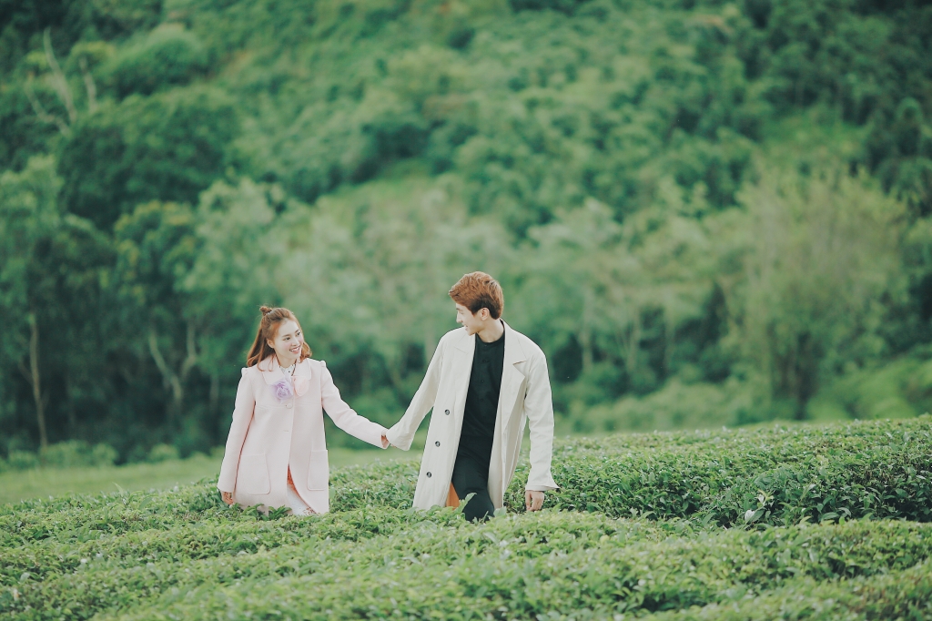 3 quý thăng trầm của điện ảnh và truyền hình Việt 2017 - Ảnh 8. 3 quý thăng trầm của điện ảnh và truyền hình Việt 2017 - Ảnh 8.