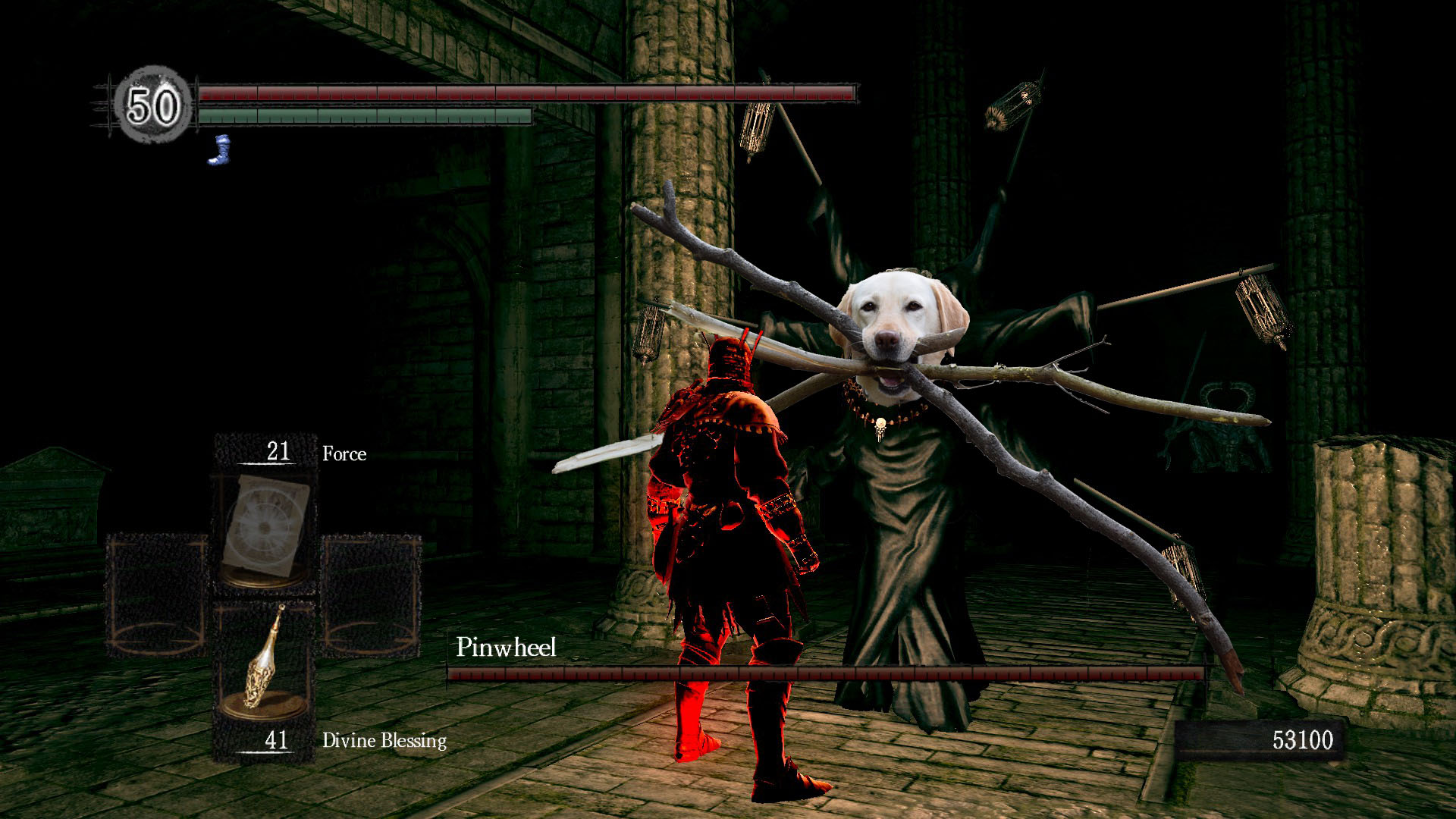 Chú chó ngáo ngơ trở thành nạn nhân của các thánh chế ảnh - Ảnh 16. Chú chó ngáo ngơ trở thành nạn nhân của các thánh chế ảnh - Ảnh 16.