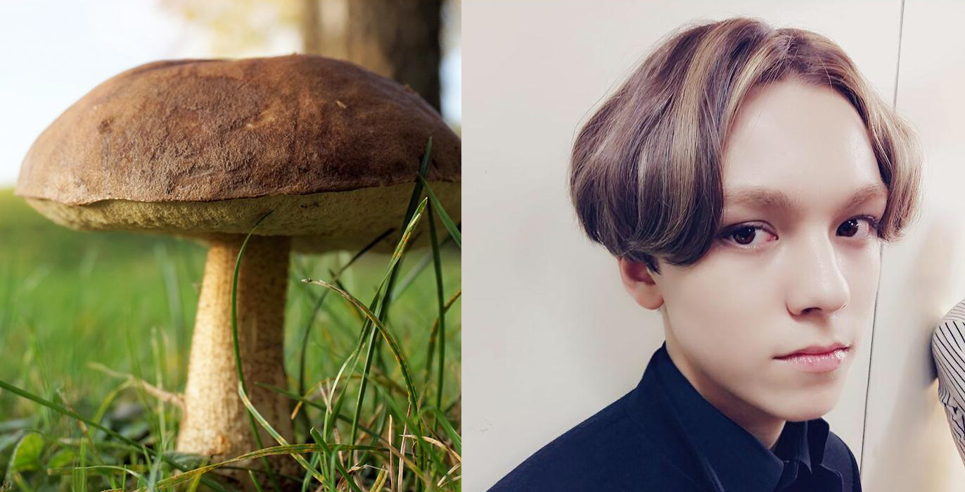 Chắc vì chọc giận stylist tóc nên nhiều sao Hàn mới phải ăn quả đắng thế này - Ảnh 7. Chắc vì chọc giận stylist tóc nên nhiều sao Hàn mới phải ăn quả đắng thế này - Ảnh 7.