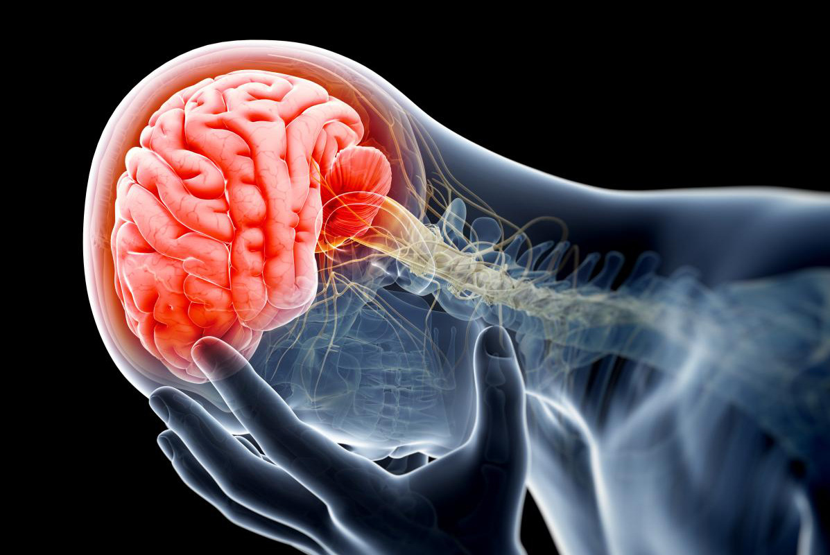 Cẩn thận với 6 tác hại đáng sợ của thói quen ngủ quá nhiều mỗi ngày - Ảnh 5. Cẩn thận với 6 tác hại đáng sợ của thói quen ngủ quá nhiều mỗi ngày - Ảnh 5.