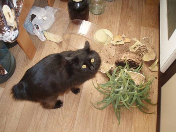 15 thánh nhọ tiễn mãi mà tháng cô hồn vẫn lưu luyến không chịu đi - Ảnh 25. 15 thánh nhọ tiễn mãi mà tháng cô hồn vẫn lưu luyến không chịu đi - Ảnh 25.