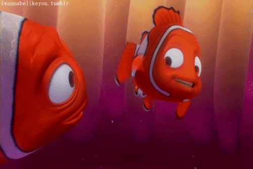 Sự thật về Finding Nemo: Cá bố Marlin sẽ chuyển giới ngay sau khi cá mẹ qua đời - Ảnh 3.