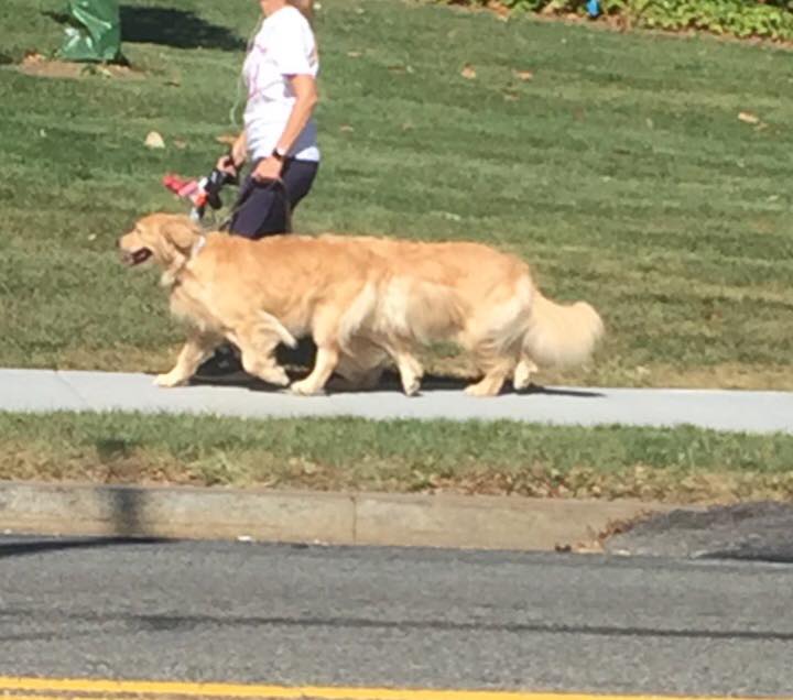 15 bức hình với góc nhìn đúng kiểu thích gây lú lẫn cho người khác - Ảnh 15. 15 bức hình với góc nhìn đúng kiểu thích gây lú lẫn cho người khác - Ảnh 15.