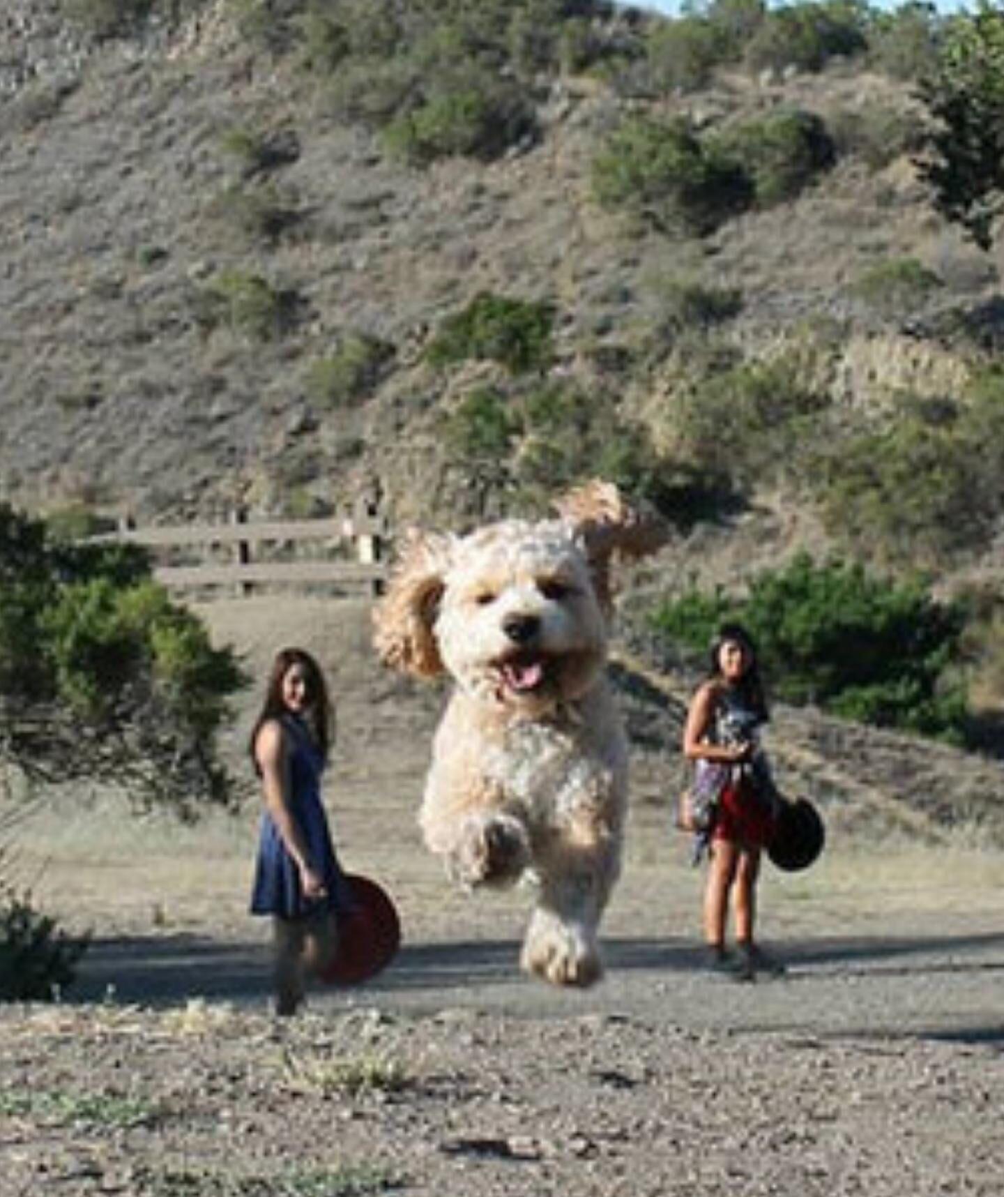 15 bức hình với góc nhìn đúng kiểu thích gây lú lẫn cho người khác - Ảnh 19. 15 bức hình với góc nhìn đúng kiểu thích gây lú lẫn cho người khác - Ảnh 19.