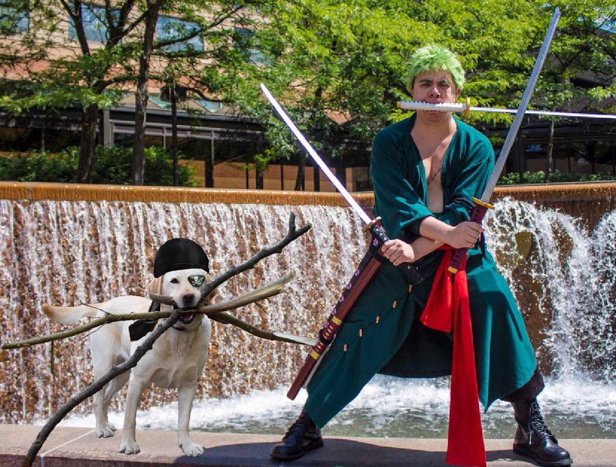 Chú chó ngáo ngơ trở thành nạn nhân của các thánh chế ảnh - Ảnh 6. Chú chó ngáo ngơ trở thành nạn nhân của các thánh chế ảnh - Ảnh 6.