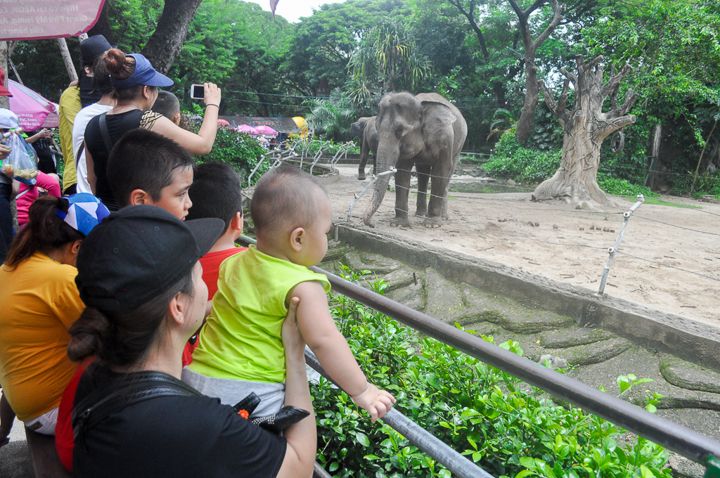 Hàng nghìn người đổ về Thảo Cầm Viên Sài Gòn dựng lều, mắc võng trốn nắng gắt trong ngày lễ 2/9 - Ảnh 2. Hàng nghìn người đổ về Thảo Cầm Viên Sài Gòn dựng lều, mắc võng trốn nắng gắt trong ngày lễ 2/9 - Ảnh 2.