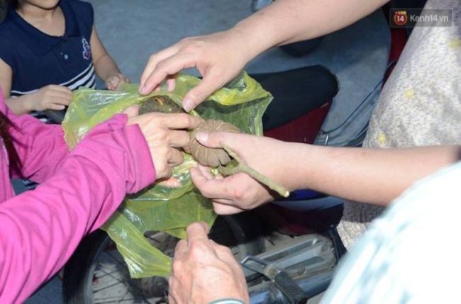 Thêm 37 học sinh ở Nghệ An ngộ độc sau khi ăn hạt quả ngô đồng - Ảnh 2.