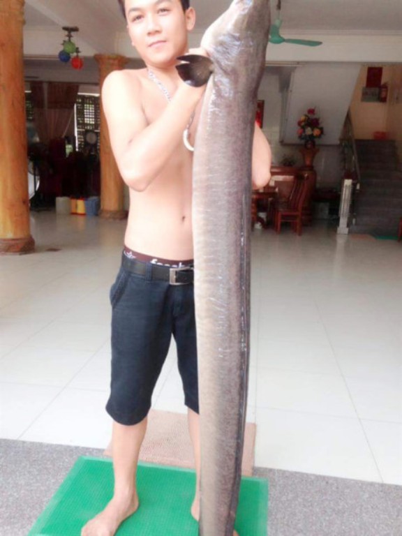 Ngắm cá lệch khủng dài 2m, nặng 20kg được bán với giá 20 triệu đồng ở Nghệ An - Ảnh 1. Ngắm cá lệch khủng dài 2m, nặng 20kg được bán với giá 20 triệu đồng ở Nghệ An - Ảnh 1.