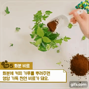 Uống cà phê mỗi ngày thì nhất định phải biết hết 4 cách tận dụng hay ho này - Ảnh 7. Uống cà phê mỗi ngày thì nhất định phải biết hết 4 cách tận dụng hay ho này - Ảnh 7.
