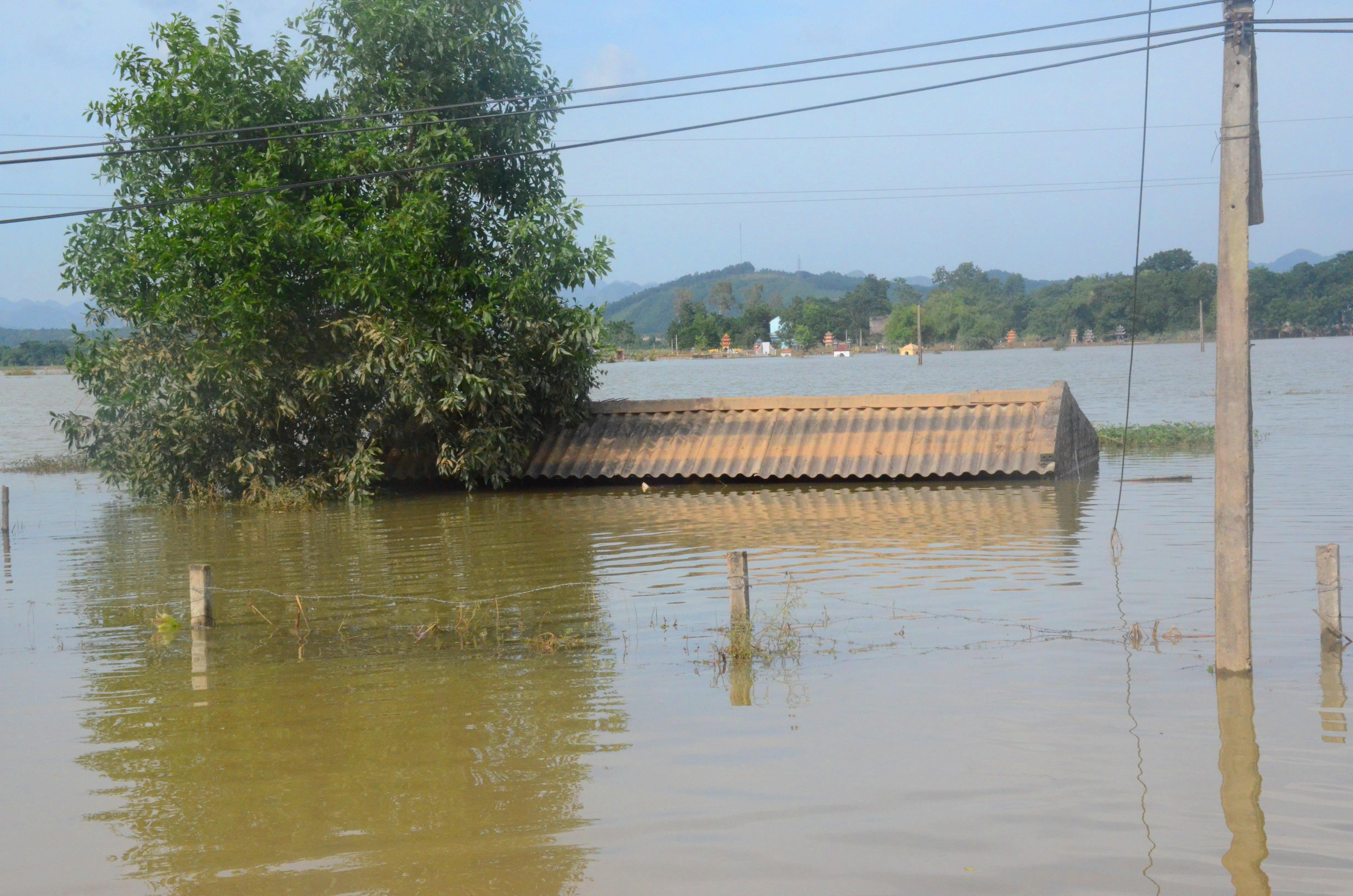 Người dân Thanh Hóa bị cô lập vì mưa lũ: 5 ngày rồi chúng tôi chỉ ngồi trong thuyền, chơi vơi giữa nhà cố vớt vát ít tài sản... - Ảnh 1. Người dân Thanh Hóa bị cô lập vì mưa lũ: 5 ngày rồi chúng tôi chỉ ngồi trong thuyền, chơi vơi giữa nhà cố vớt vát ít tài sản... - Ảnh 1.