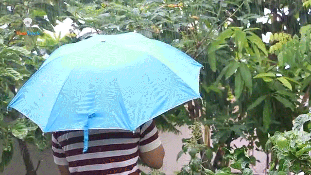 Dùng ô đi mưa về thì hãy làm việc này để không làm bẩn khắp nhà - Ảnh 4.