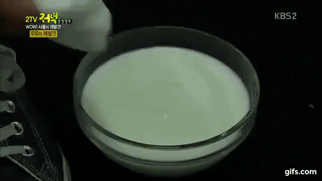 Tận dụng sữa hỏng để tẩy vết bẩn trên giày, chuyện như đùa nhưng hiệu quả vô cùng - Ảnh 3. Tận dụng sữa hỏng để tẩy vết bẩn trên giày, chuyện như đùa nhưng hiệu quả vô cùng - Ảnh 3.