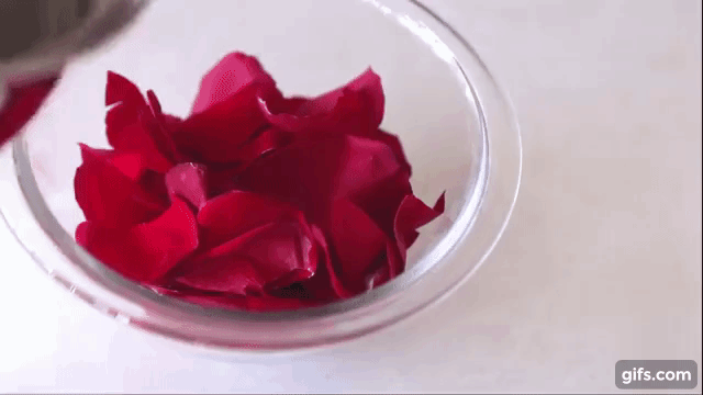 Học ngay bí quyết làm nước hoa hồng cực đơn giản để da lúc nào cũng săn chắc và láng mịn - Ảnh 5.