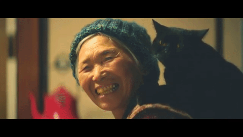Câu chuyện Nhật cảm động về cụ bà cô đơn và hai chú mèo - Ảnh 6.