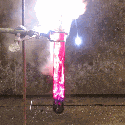 h10-1512496344366.gif.png